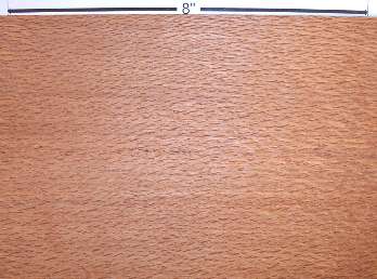 lacewood veneer